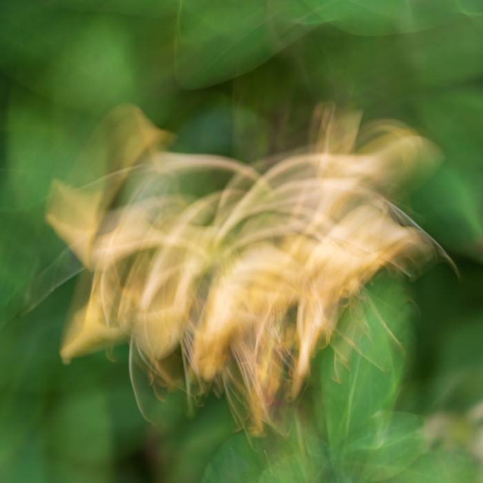 gedrehte Kamera
